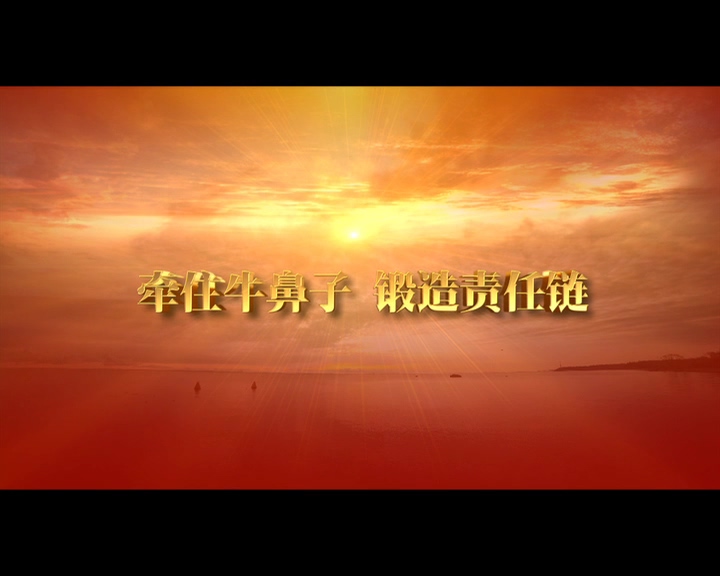 生命紅線——狠抓風(fēng)險防控責(zé)任落實 下集《牽住牛鼻子 鍛造責(zé)任鏈》