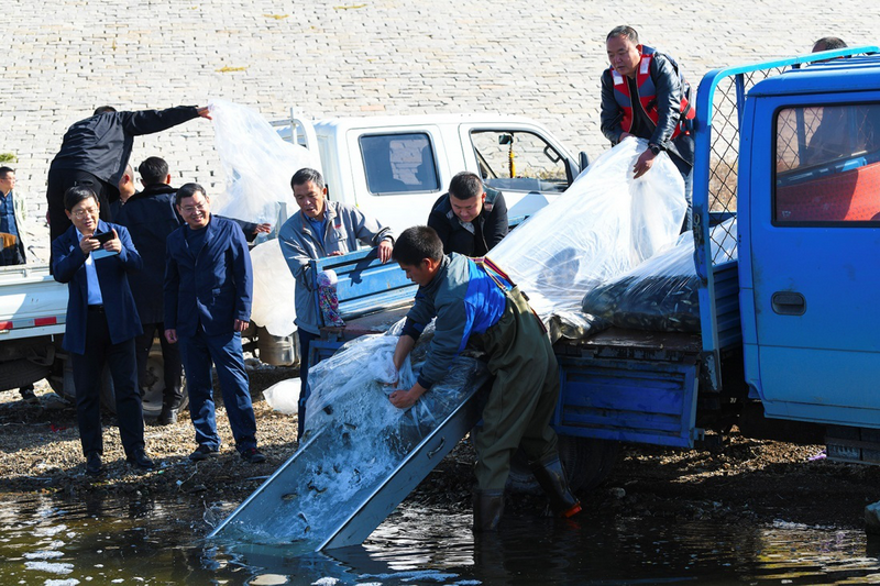 規(guī)范增殖放流  提高生態(tài)效益