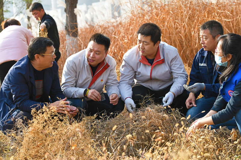 采集野生種子  挖掘優(yōu)異基因