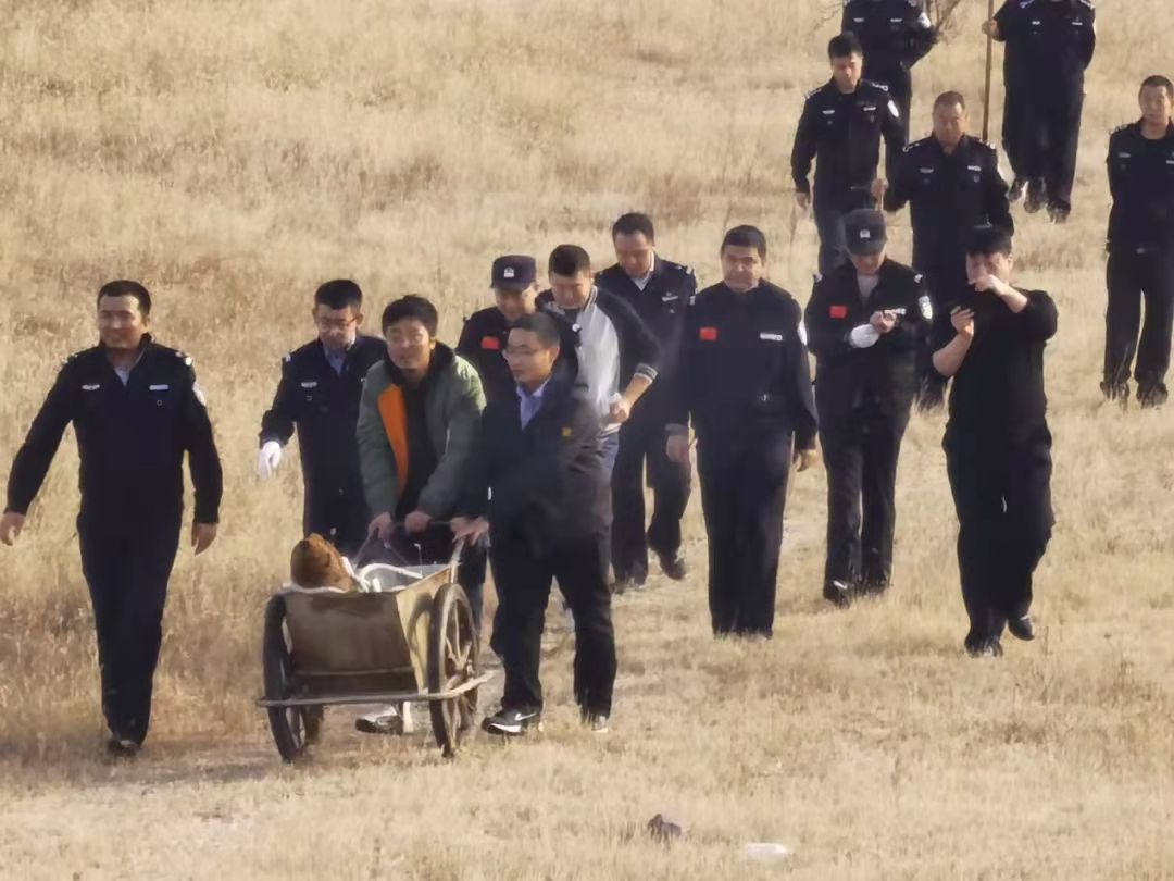 迎險而上 拆彈保民生