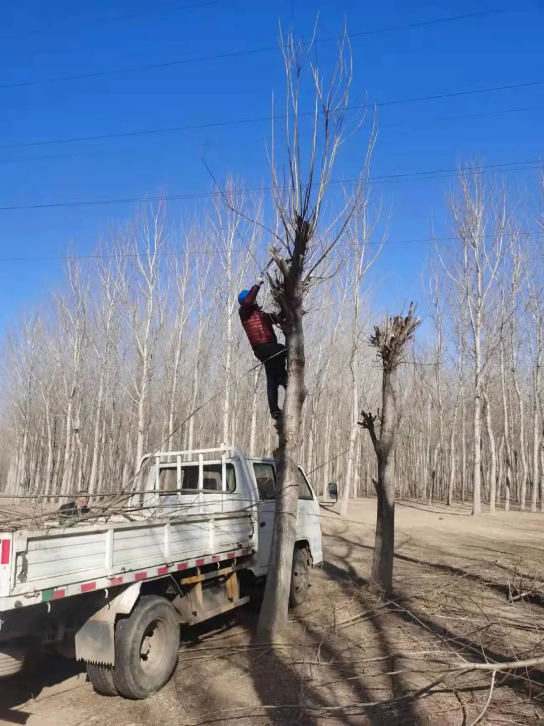 開展春檢工作 確保安全供水