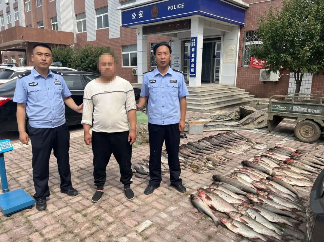 護(hù)企安商，助企挽損！凌海公安破獲一起涉企盜竊案